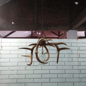 Antlers Hanging Lamp Including Glass