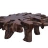 Teak Root Coffee Table